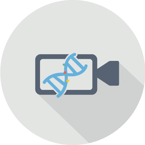 蓝眼科技 BlueEyes Technology