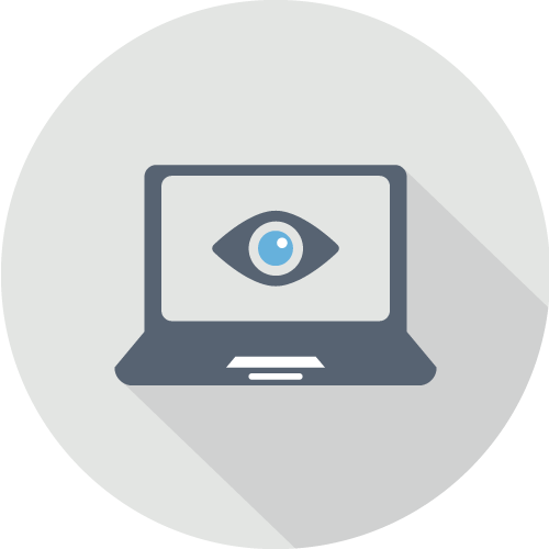 蓝眼科技 BlueEyes Technology